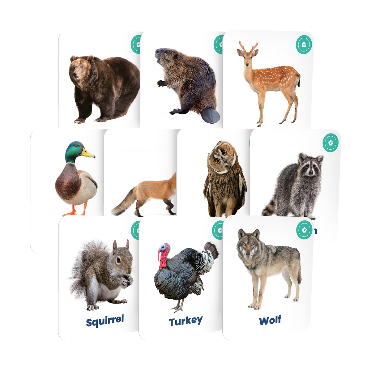 Farm & Forest Animals Learning Set for the Storypod Audio System - Set 6