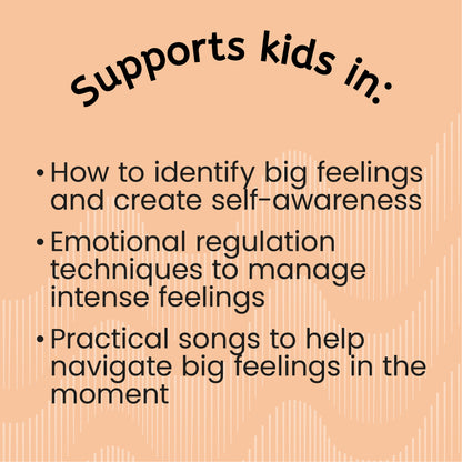 Understanding Big Feelings: Mad, Sad, Happy Bundle