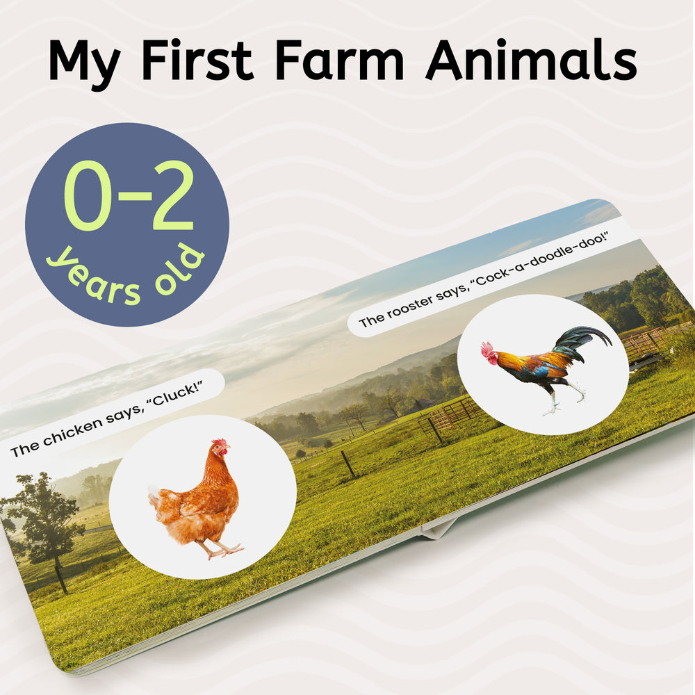 Farm & Forest Animals Set