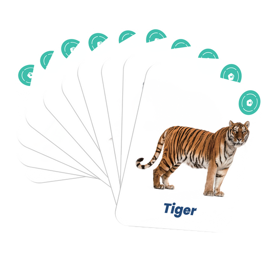 My First Jungle Animals Card Set