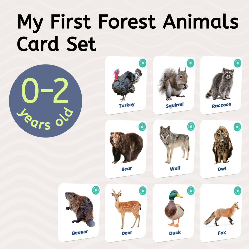 Farm & Forest Animals Set