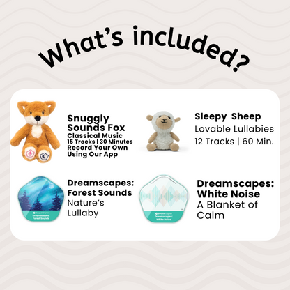 Baby Learn & Dream Bundle